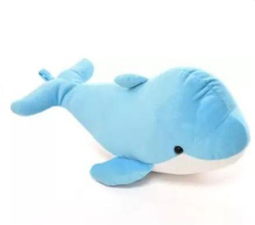 Teddy dolphin on sale