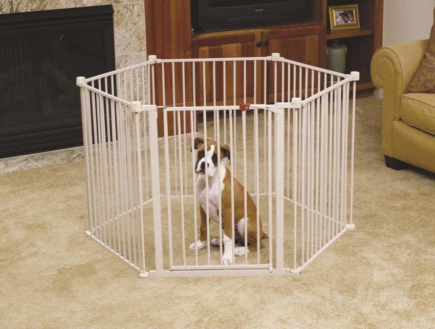 Emily dog pet clearance barrier