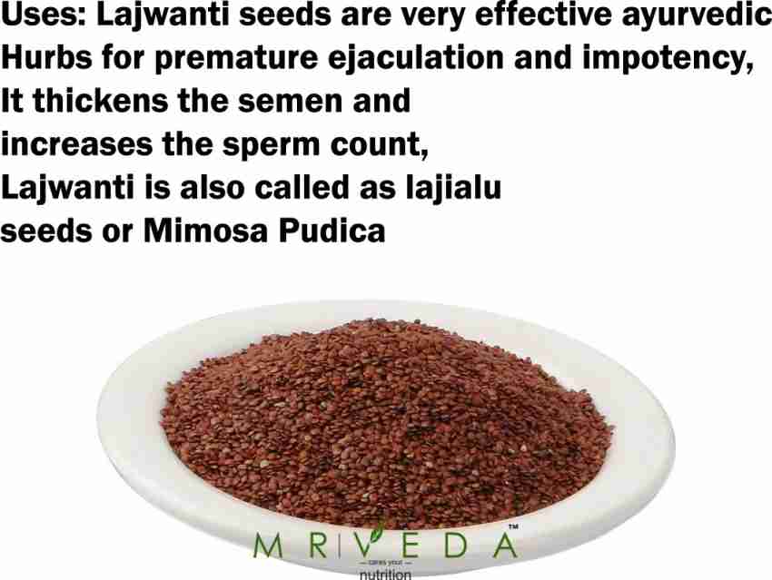 MR VEDA Premium Quality Lajwanti Seeds Lajjalu Sensitive Chu mui