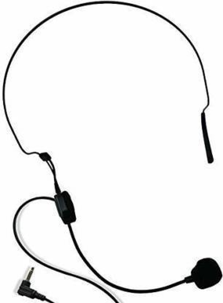 Ear mic online