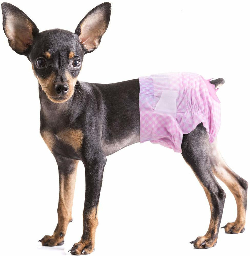 Extra small puppy diapers store