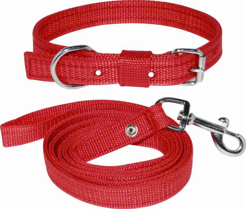 Pet dog sales belt