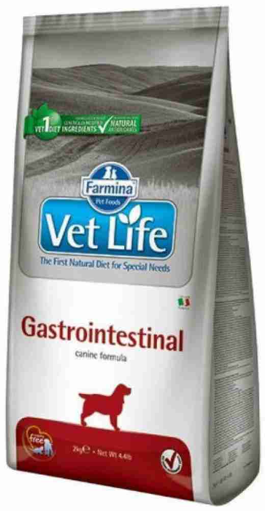 Gastrointestinal 2025 puppy food