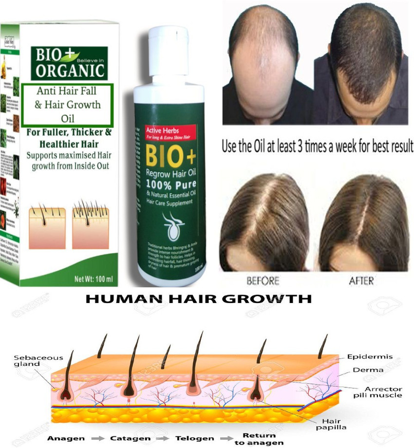 Share more than 143 plants for hair growth best tnbvietnam.edu.vn