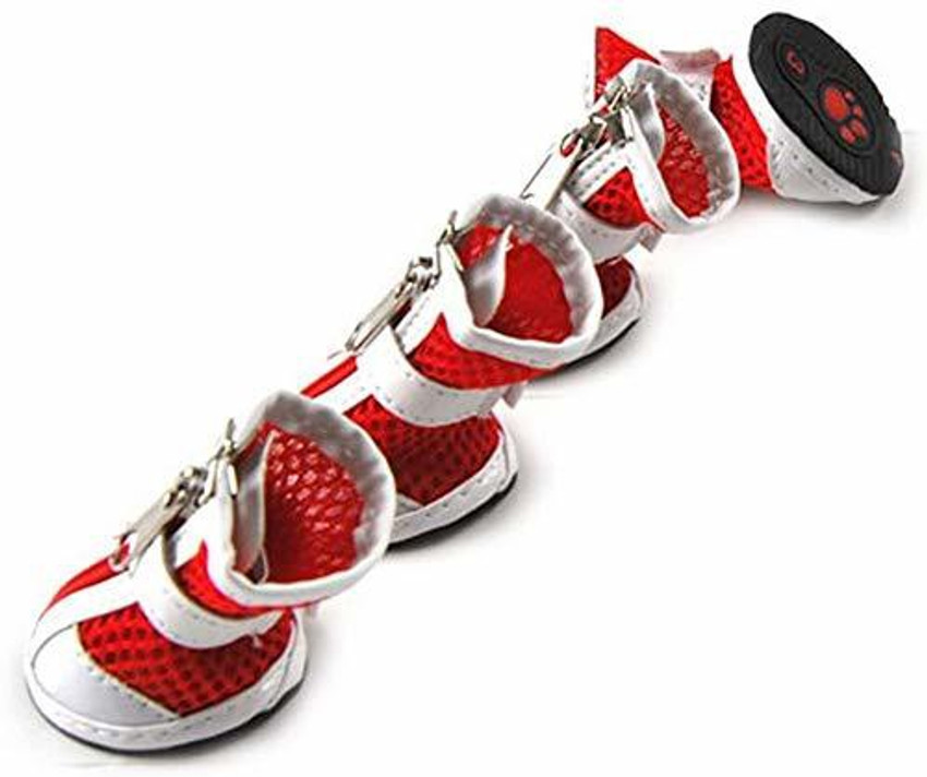 Dog shoe store on sale