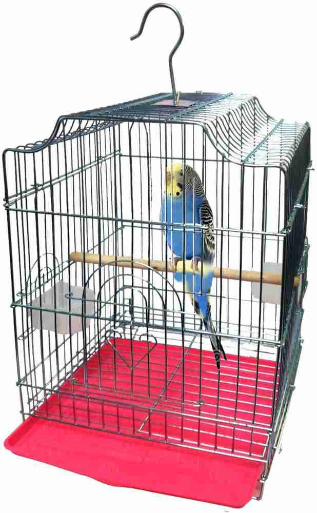 Parrot pinjra online 2025