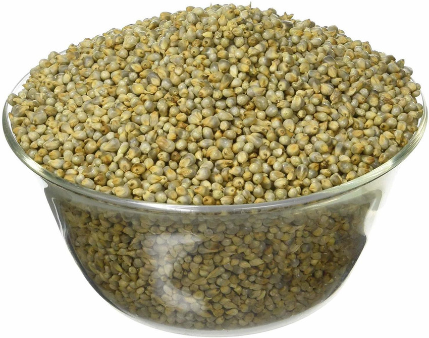 PRODUCER PREMIUM QUALITY MILLET WHOLE (SABUT BAJARA) PEARL MILLET WHOLE  GRAIN 1KG Pearl Millet Price in India - Buy PRODUCER PREMIUM QUALITY MILLET  WHOLE (SABUT BAJARA) PEARL MILLET WHOLE GRAIN 1KG Pearl