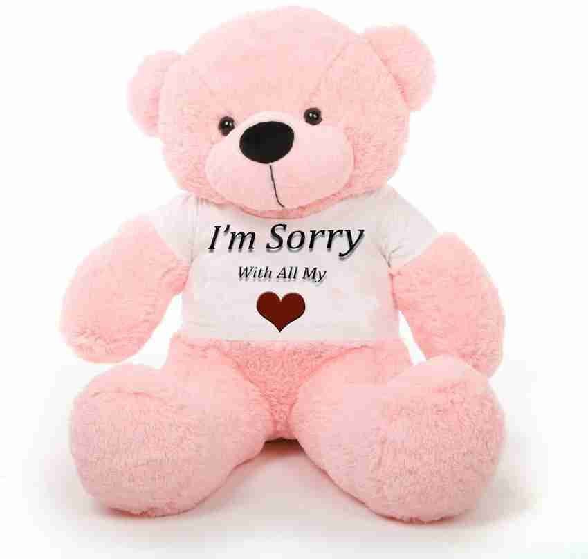 I am sorry teddy bear hotsell
