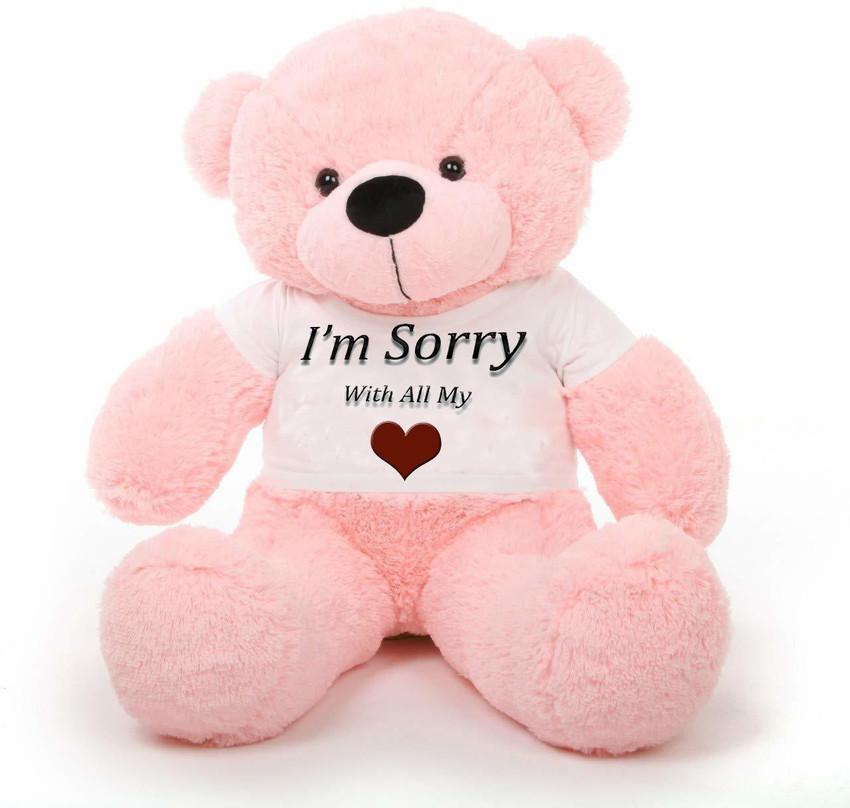 Sorry teddy bear sales