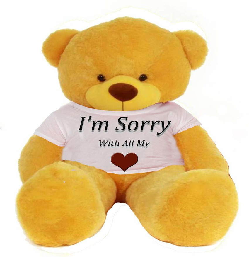 Hug n Feel Soft Toys Big Teddy Bear Wearing