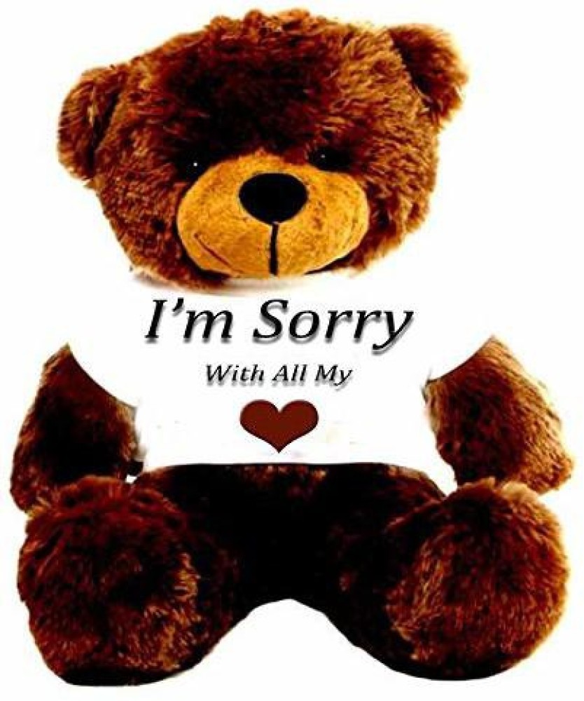 Sorry With Cute Teddy Bear