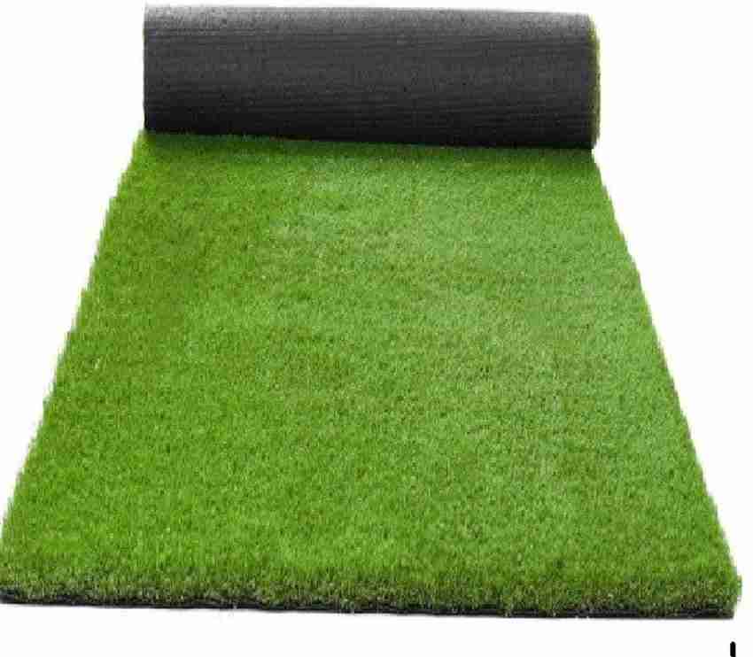 Worthful Creations 1 Piece Carpet Size 4x7 Feet or 48