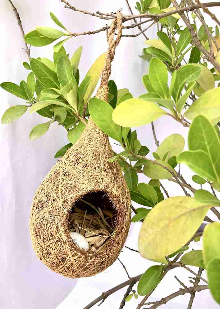 Bird hot sale nest house