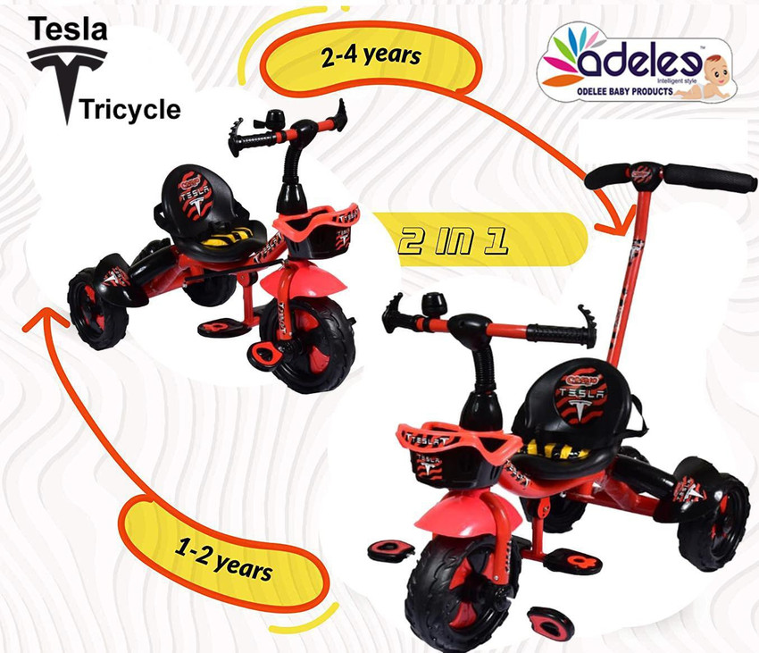 Tesla tricycle 2025