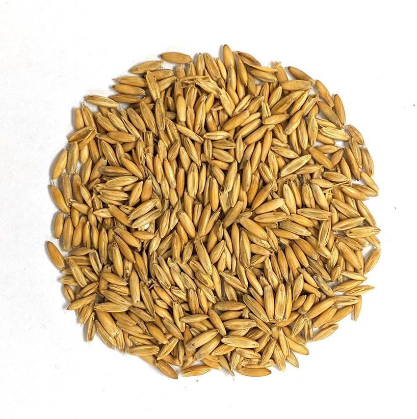 Oats cheap for budgies