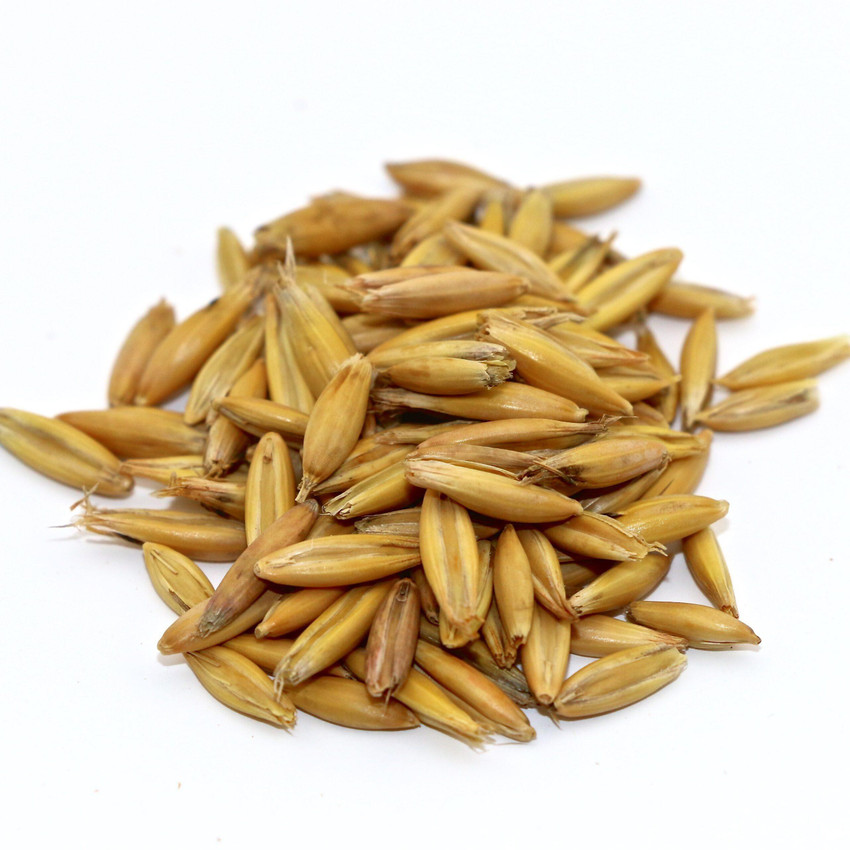 Pets Wizard Oats Seed Bird Food for Finches Budgies Conures