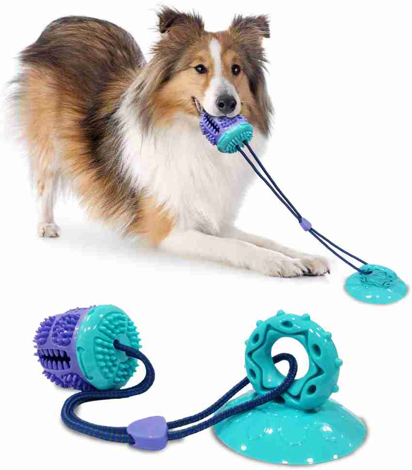 Training toys for dogs – Pawsindia