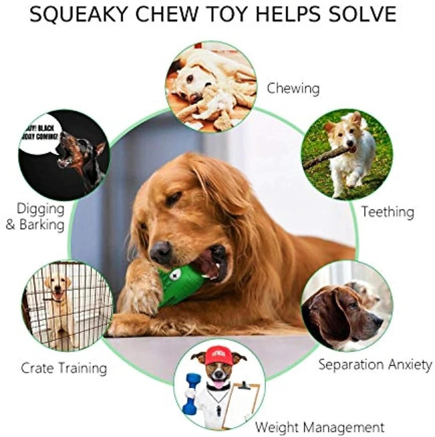 Training toys for dogs – Pawsindia