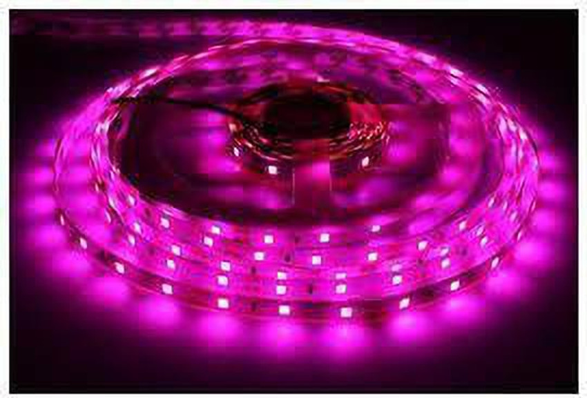 Surya led strip light cheap