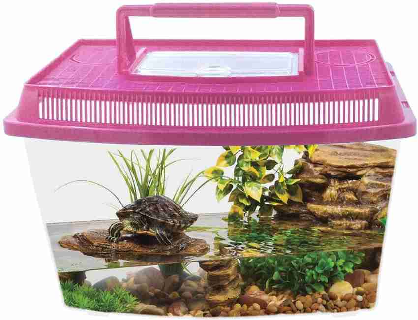 B and m fish on sale tank