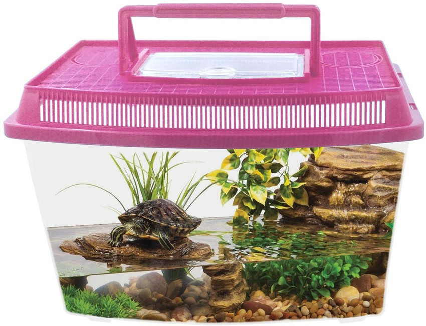 B & store m fish tank