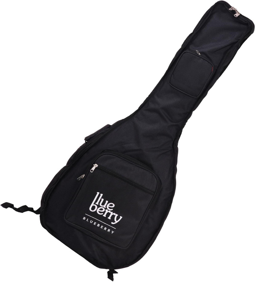 Ashton best sale guitar bag