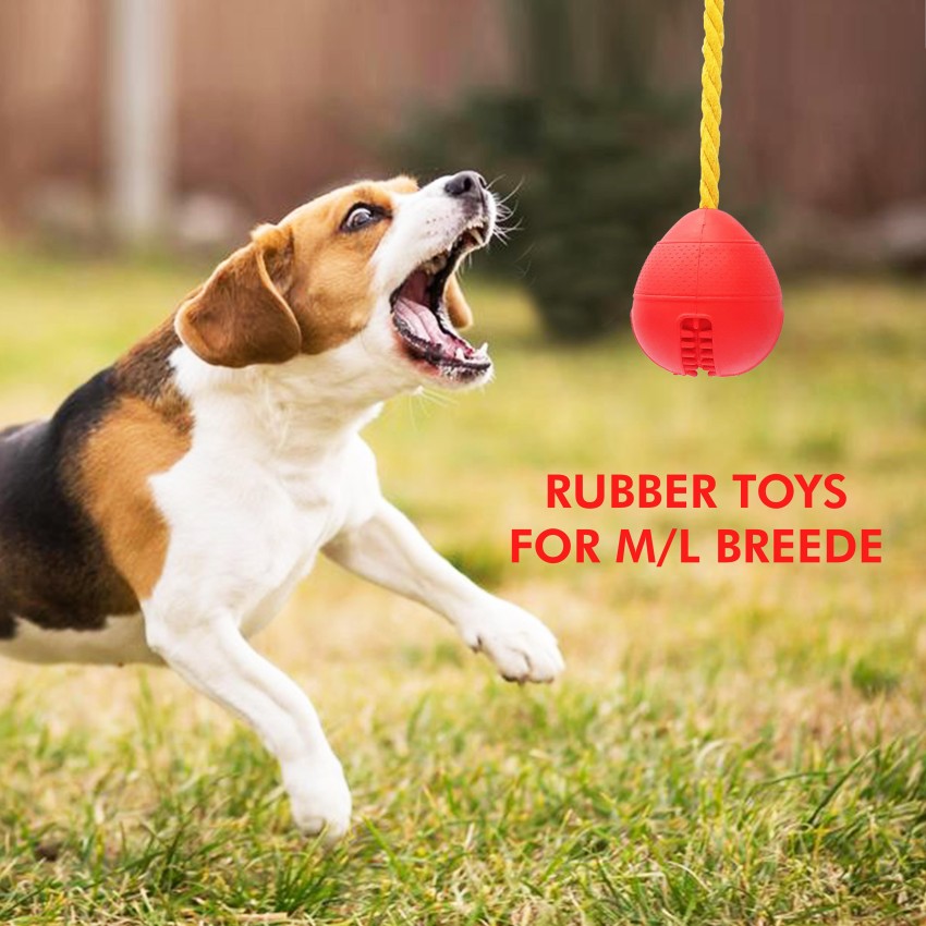 Training toys for dogs – Pawsindia