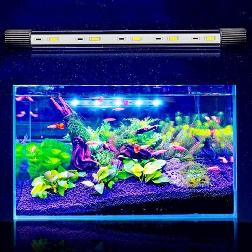 kintons Blue White LED Aquarium Light Price in India Buy