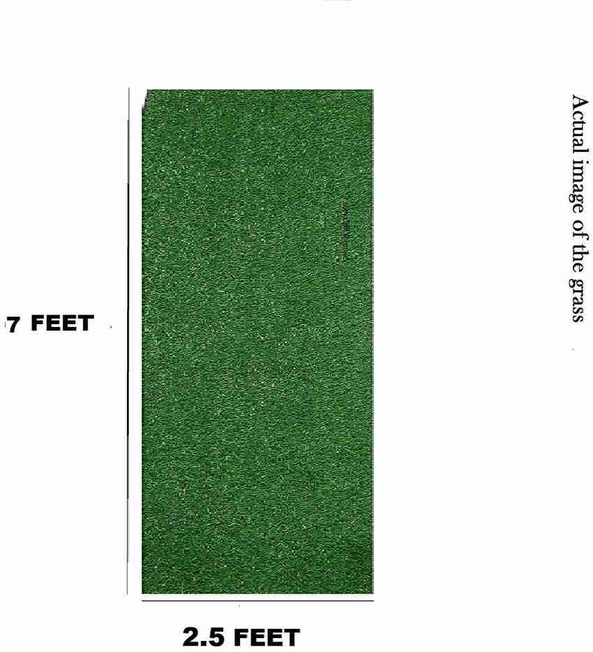 Worthful Creations 1 Piece Artificial Grass Carpet Size 2.5x7