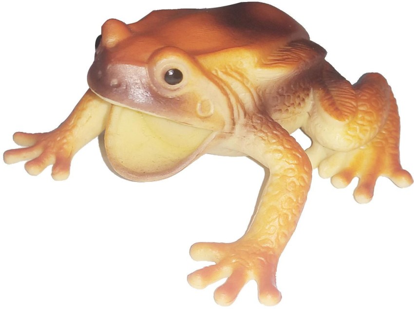 https://rukminim2.flixcart.com/image/850/1000/kmqn3bk0/gag-toy/v/z/5/frogs-animals-soft-plastic-multicolor-prank-toy-for-kids-and-original-imagfkjgrjfcsuds.jpeg?q=90&crop=false