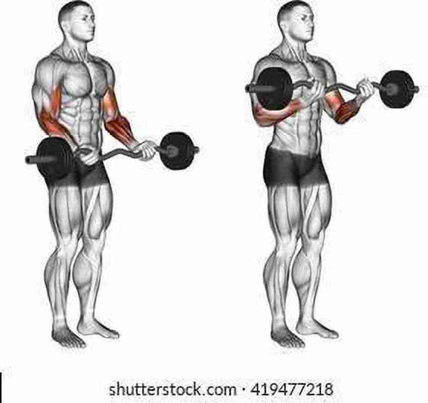 Curl bar exercises for triceps hot sale