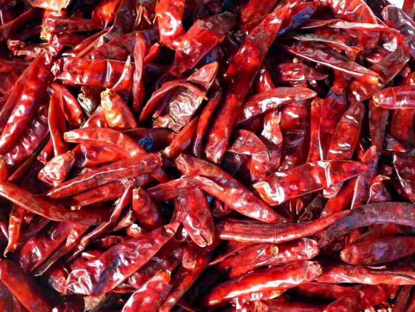Marwar Red Chilli Whole & Dry (Lal Mirchi Sabut) Without Stem - 1200 Grams