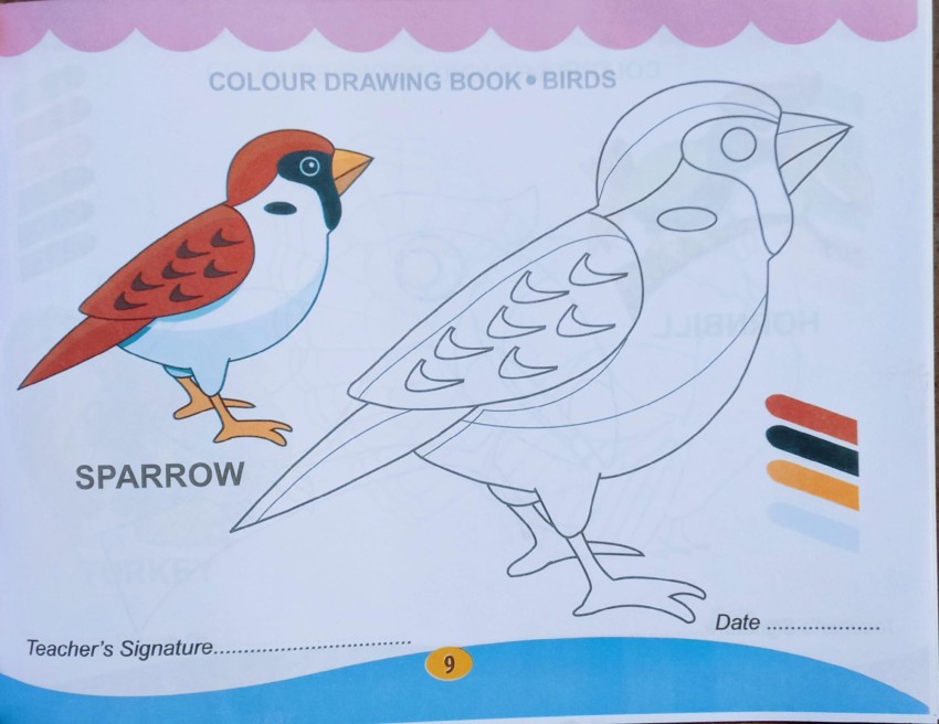 KIDS DRAWING BOOK! BIRD DRAWING FOR KIDS! HD NEW 2019 