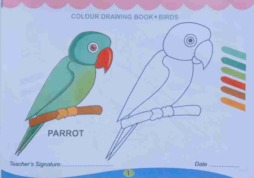 Colour Drawing Book Of Bird's For The Beginners Kid's Guide: Buy