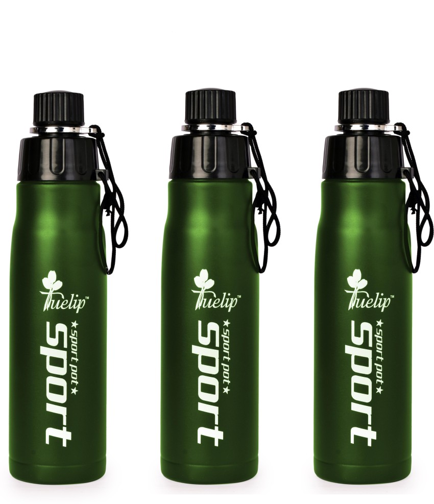  Campus Colors NCAA Stainless Steel Water Bottle