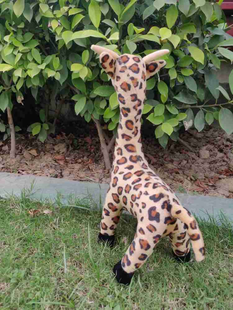 Lil ted Big Giraffe Plush Stuffed Toy Premium Quality Fabric 45 cm Big Giraffe Plush Stuffed Toy Premium Quality Fabric Buy Giraffe toys in India. shop for Lil ted products in