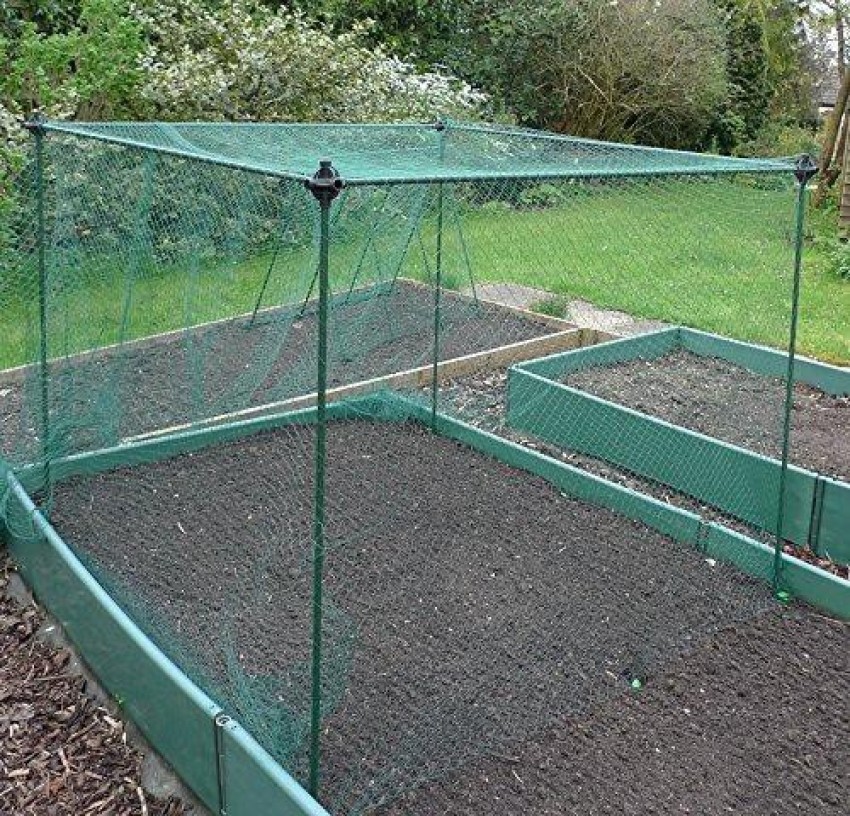 Klassic Anti Bird Protection Net Mesh Garden Netting (60 sqft,25mm Hole,15  ply,Set of 1) Bird Net - Buy Klassic Anti Bird Protection Net Mesh Garden  Netting (60 sqft,25mm Hole,15 ply,Set of 1)