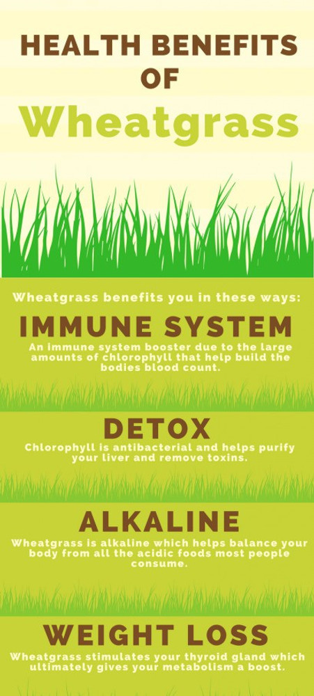 Uses of wheatgrass juice online