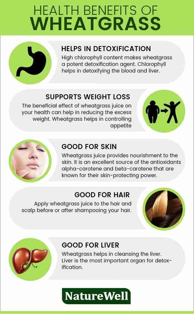 Wheatgrass benefits for hair new arrivals
