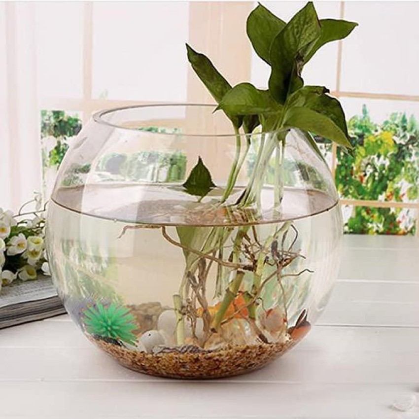 Essjay Botanic Flower Vase/ Flower Pot/ Fish Bowl, Transparent