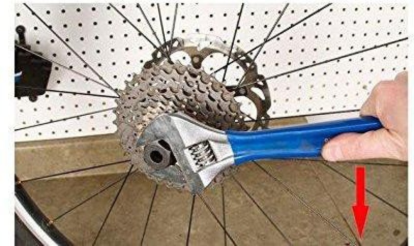 Mountain bike online freewheel