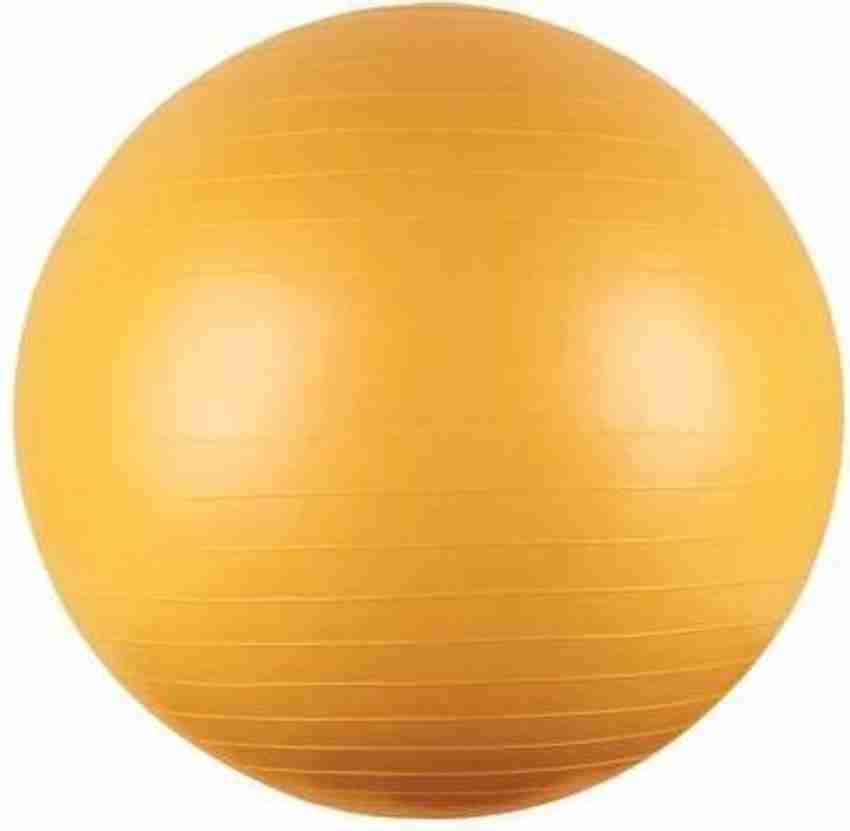 Gold's gym hotsell 65cm body ball