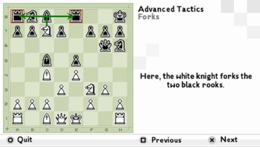 Chessmaster: The Art of Learning, Nintendo