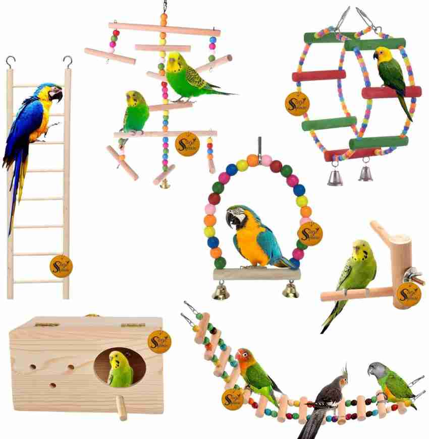 Bird toys hotsell and accessories