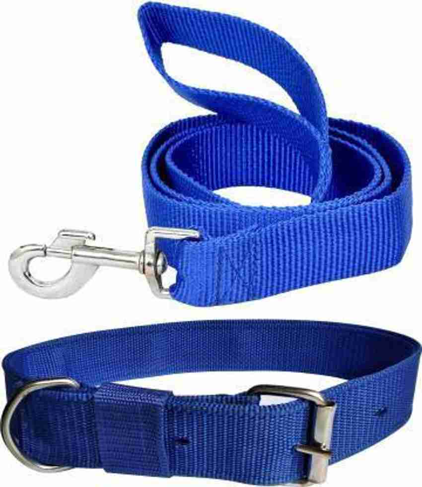 ADIOS 1.5 INCH Blue Color Dog Belt for 60 70 KG Dog Weight Dog