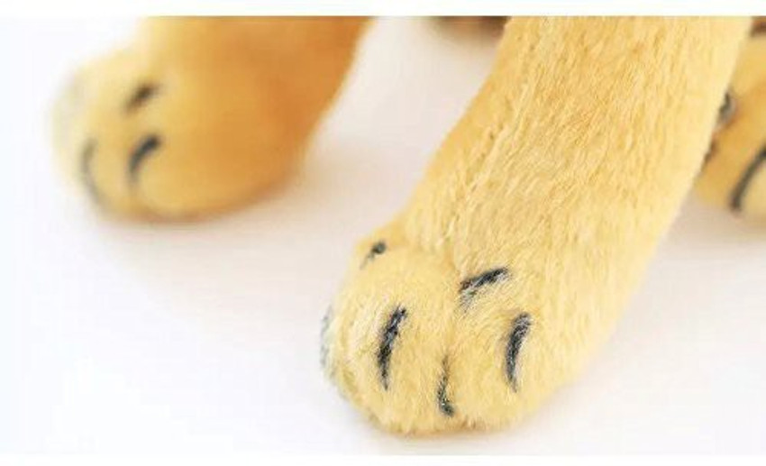 Paws deals teddy pug