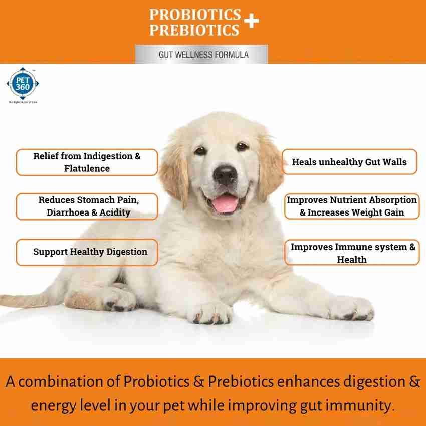 PET360 Probiotics Prebiotics Gut Wellness Formula for Dogs