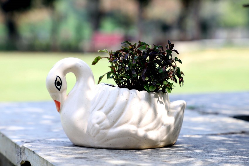 Swan Garden Planters, White, Set of 3 