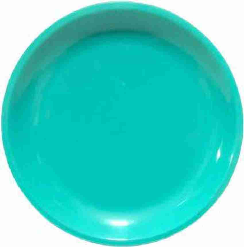 Aqua blue online paper plates