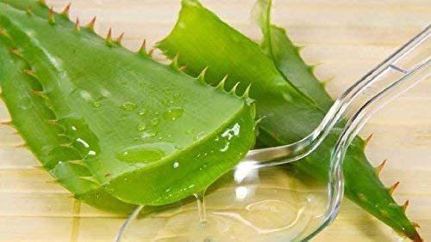 Aloe vera juice for eyes best sale